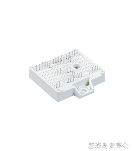 塞班岛贵宾会 SiC MODULES