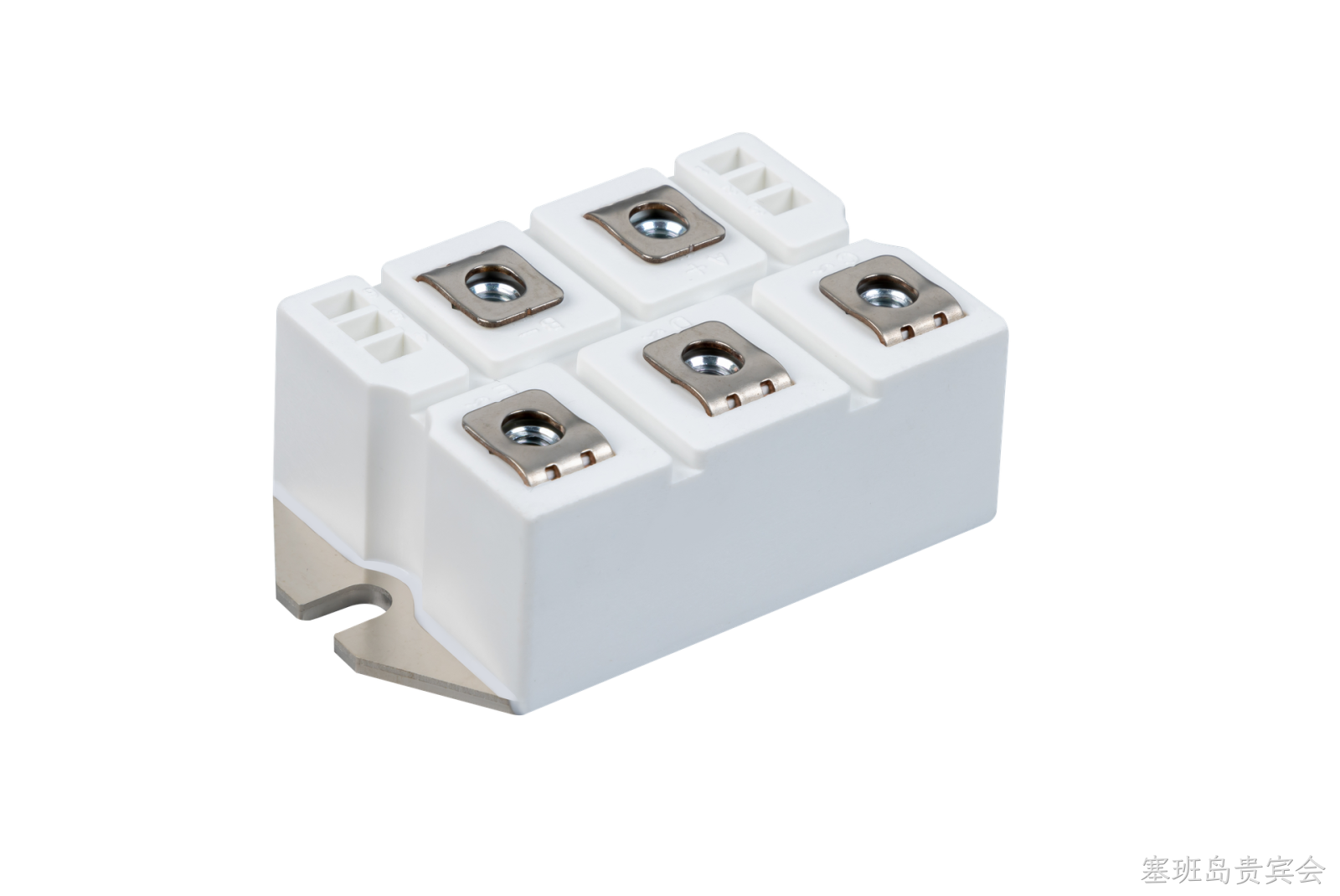 塞班岛贵宾会 Rectifier Bridge Module