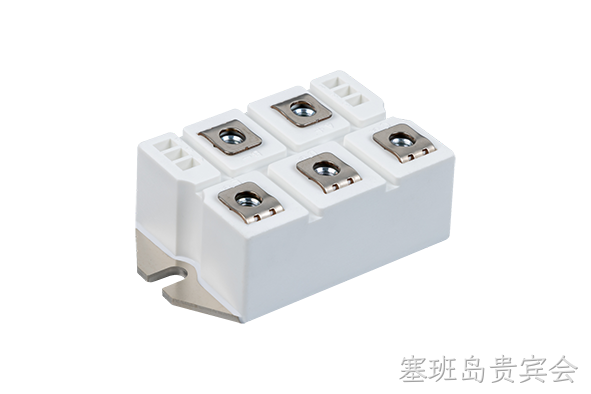 塞班岛贵宾会 Rectifier Bridge Module